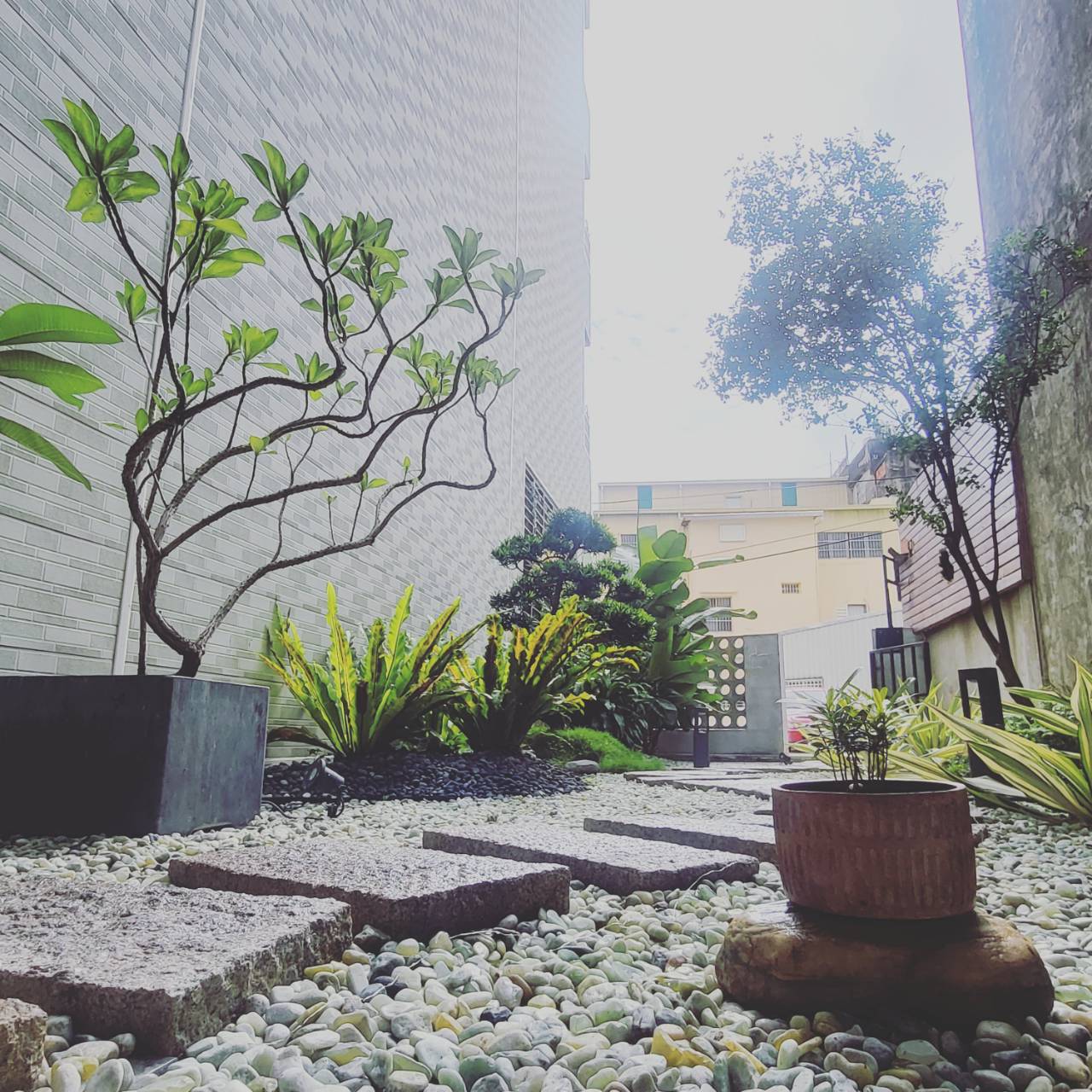 無菜單鐵板燒料理業/林孟翰/食光宴鐵板料理 | 提供套餐式無菜單料理、活體龍蝦料理、活體鮑魚料理、和牛料理,滿足饕客的美食味蕾! 無菜單鐵板燒料理業/林孟翰/食光宴鐵板料理 | 提供套餐式無菜單料理、活體龍蝦料理、活體鮑魚料理、和牛料理,滿足饕客的美食味蕾!